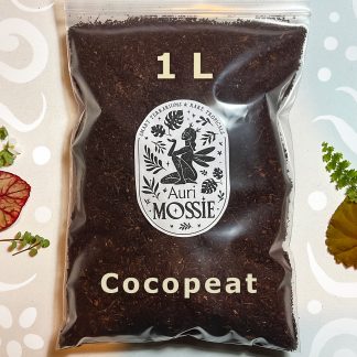 Kokoshumus 1 L – torffreies Substrat für Zimmerpflanzen