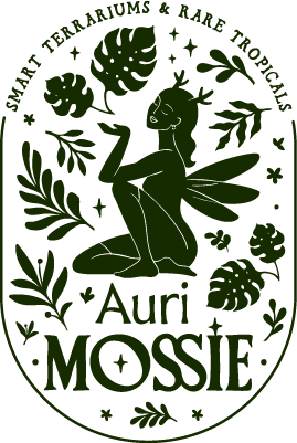AuriMossie