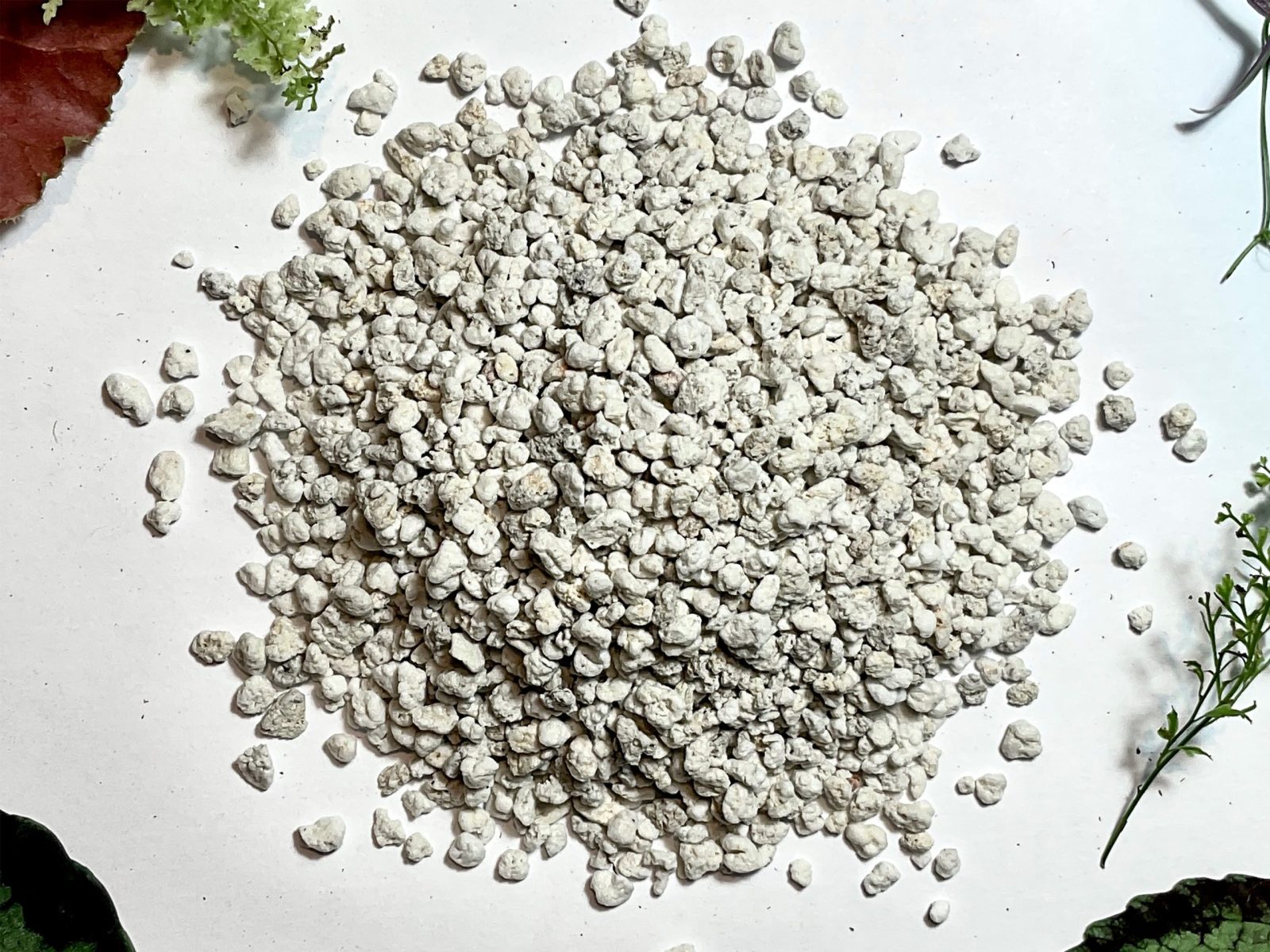 Perlit 2–6 mm Nahaufnahme – mineralisches Substrat zur Bodenauflockerung