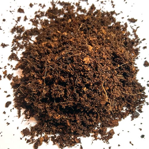 Kokosfaser-Substrat für tropisches Terrarium – luftige Basis für feuchtigkeitsliebende Pflanzen