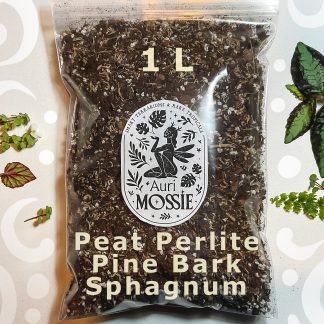 Torferde mit Perlit, Pinienrinde und Sphagnum – luftiges Zimmerpflanzen-Substrat 1 Liter
