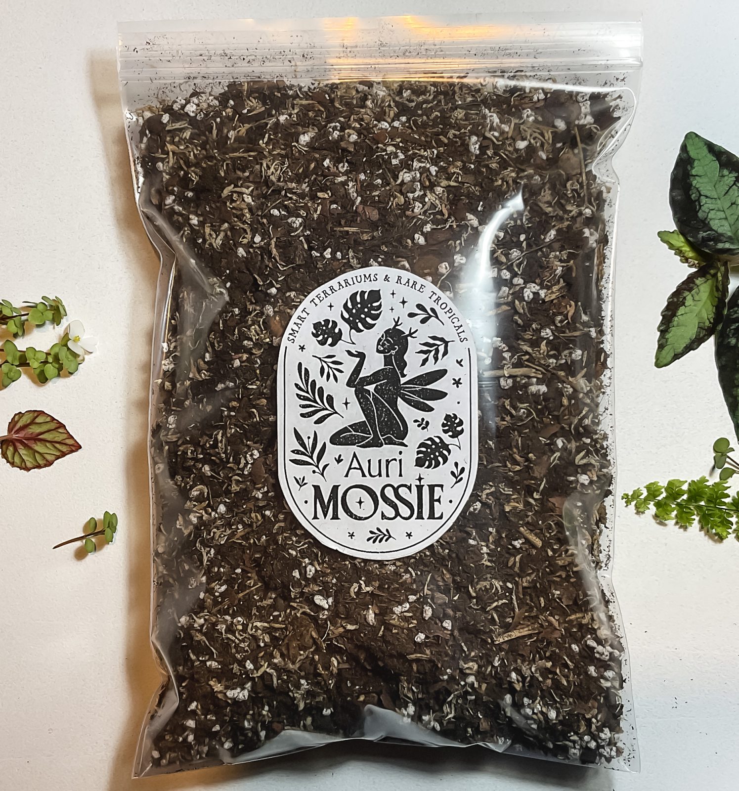 Torferde mit Perlit, Pinienrinde und Sphagnum – luftiges Zimmerpflanzen-Substrat 1 Liter