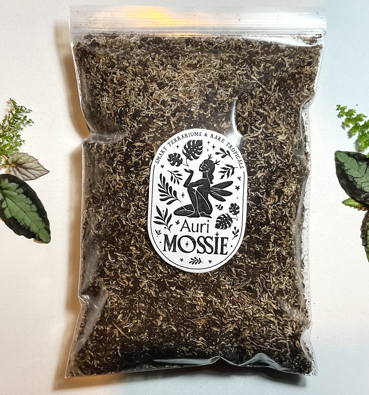 Natürliche Torferde mit Sphagnum für feuchtigkeitsliebende Pflanzen