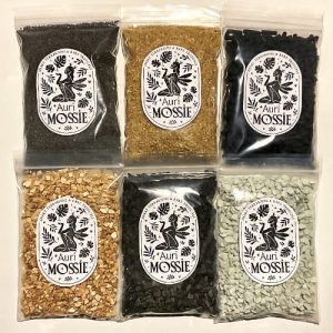 Terrarium Substrat Set mit Aktivkohle, Sand und Strukturmaterialien für tropischen Bodenaufbau