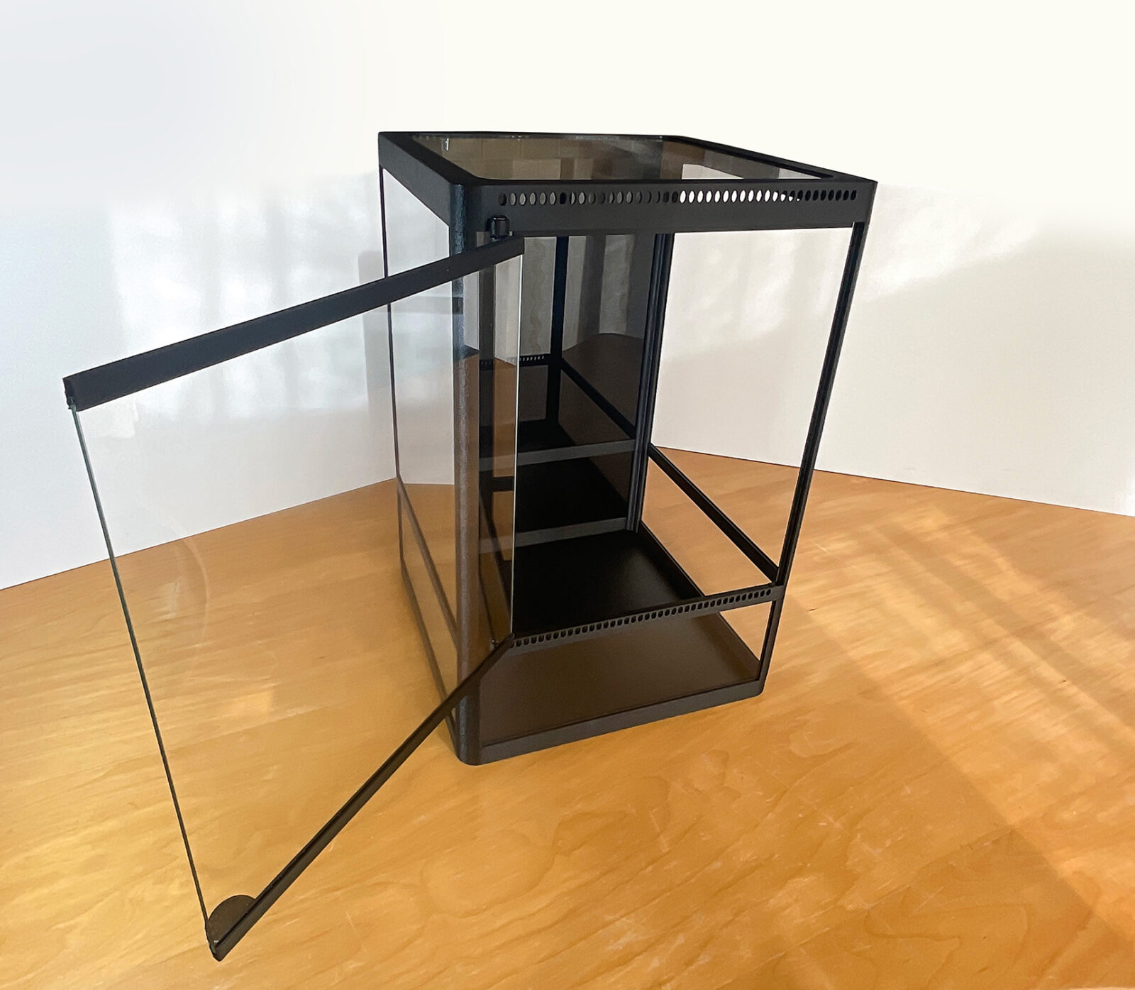 Geräumiges, handgefertigtes Terrarium mit schwarzer Rückwand – ideal für tropische Pflanzen und stilvolle Pflanzendisplays.