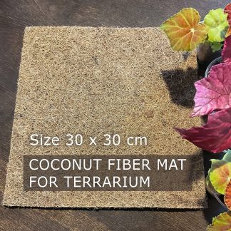 Natürliche Kokosfasermatte 30 × 30 cm für Terrarien. Ideal als Hintergrund, Unterlage oder dekoratives Element für tropische Pflanzen.