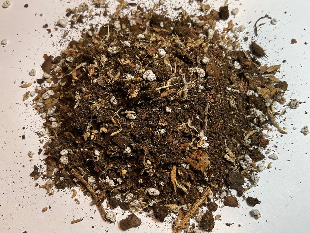 Lockere Substratmischung für tropische Pflanzen und Terrariumpflanzen mit Perlit und Rinde