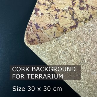Natürliche Korkrückwand 30 × 30 cm für Terrarien und Paludarien