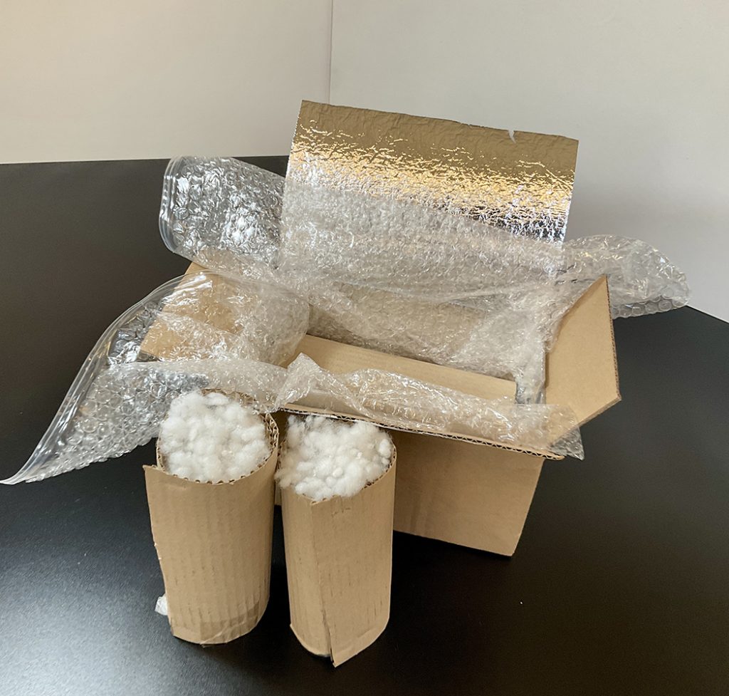 Terrariumpflanzen für den Versand vorbereitet – isolierte Verpackung mit zusätzlichem Schutzmaterial