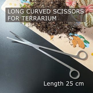 gebogene Terrarium Schere 25 cm für Moos und Pflanzen