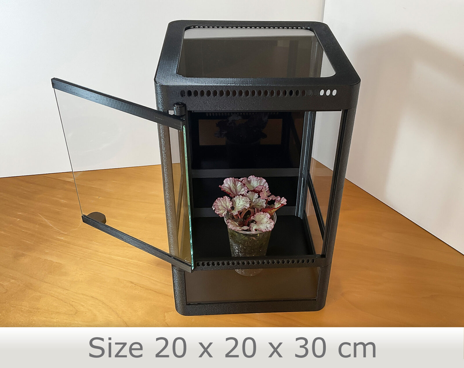 Kompaktes, handgefertigtes Terrarium mit schwarzer Rückwand – ideal für kleine tropische Pflanzen und stilvolle Pflanzendisplays.