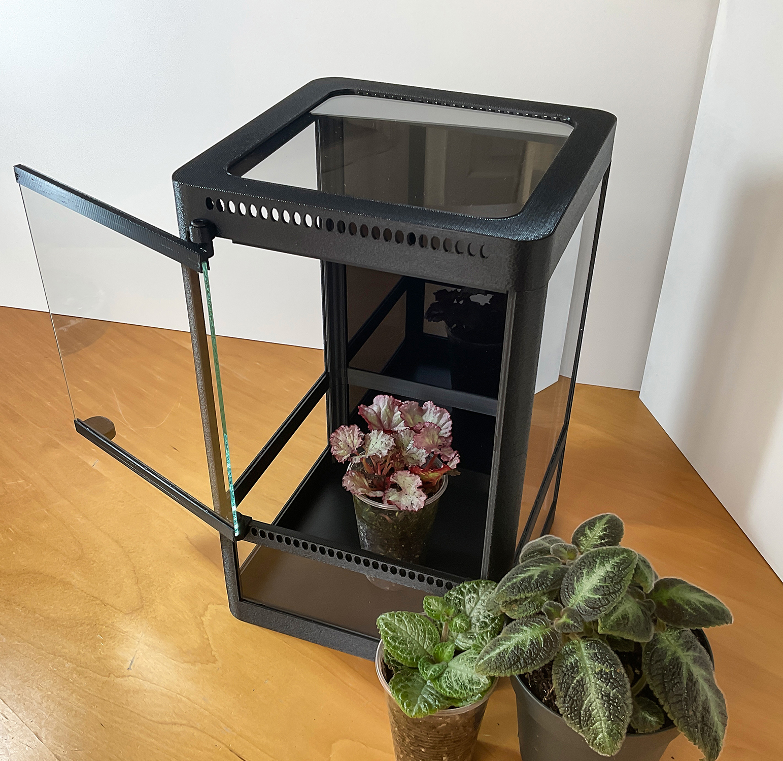 Mini-Terrarium für tropische Pflanzen