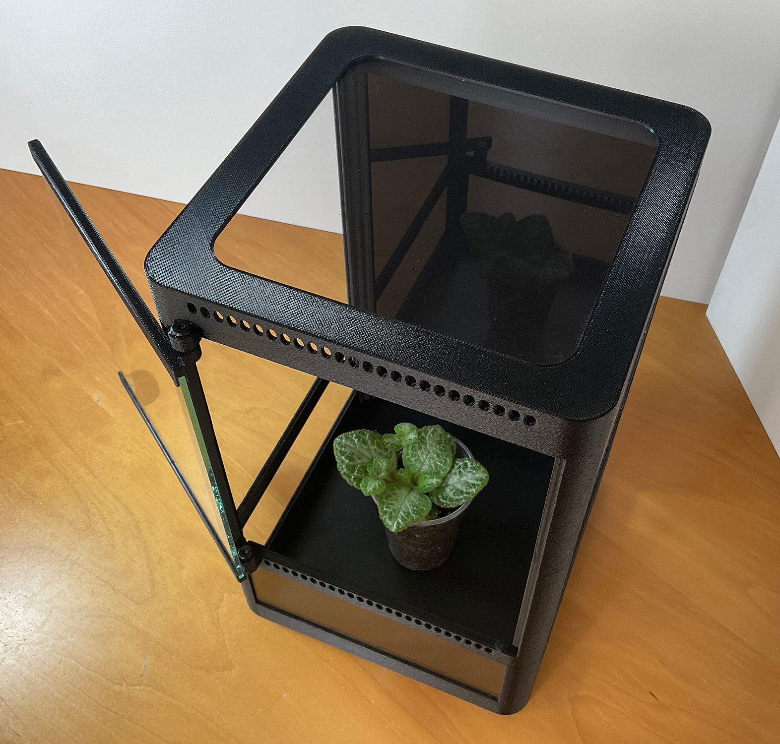 Mini-Terrarium für tropische Pflanzen