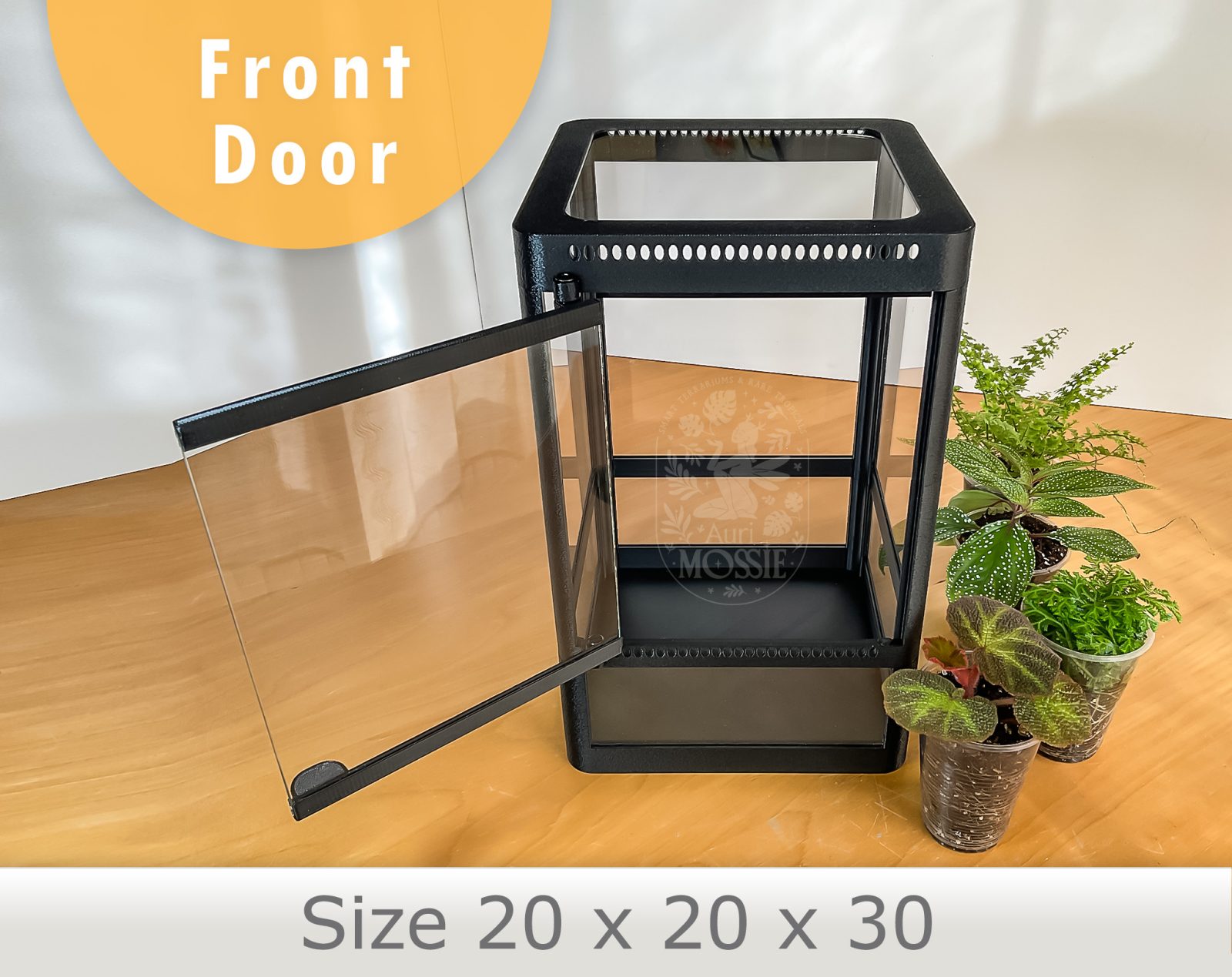 Mini Terrarium mit klaren Wänden für kleine tropische Pflanzen.