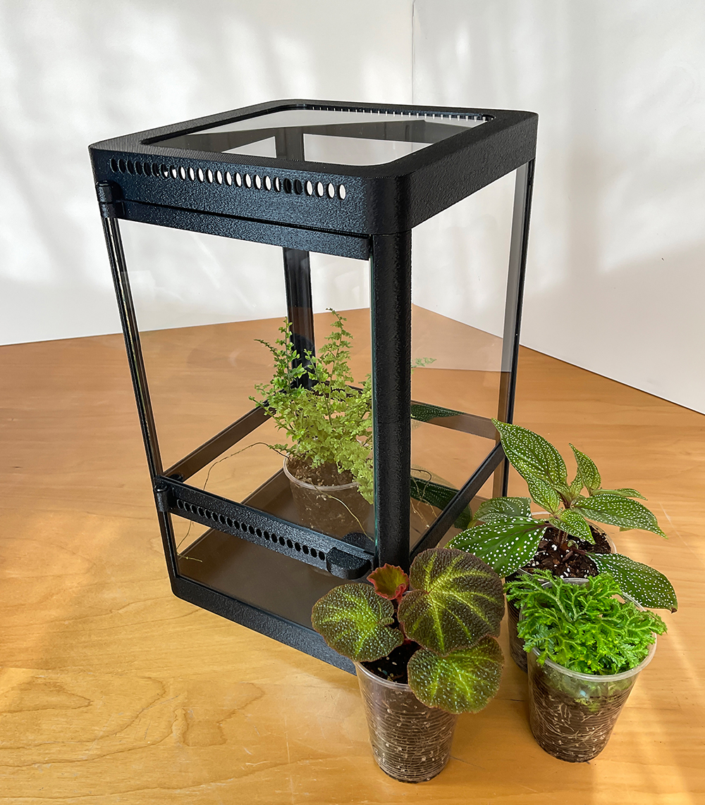 terrarium für kleine tropische Pflanzen