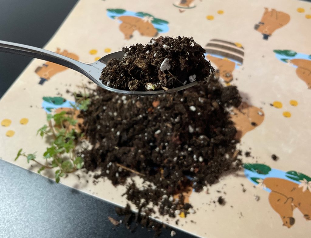 Luftige Terrariumerde mit Perlit und organischen Bestandteilen für gesunde Wurzeln