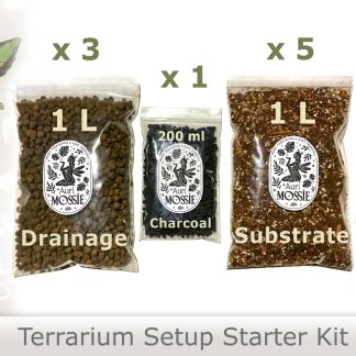 Komplettes Starter Set für tropische Terrarien mit Drainage-Keramzit, Aktivkohle und Tropensubstrat