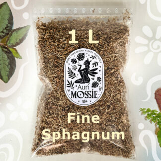 Premium Sphagnum Moos für Orchideen Begonien und Terrarienpflanzen